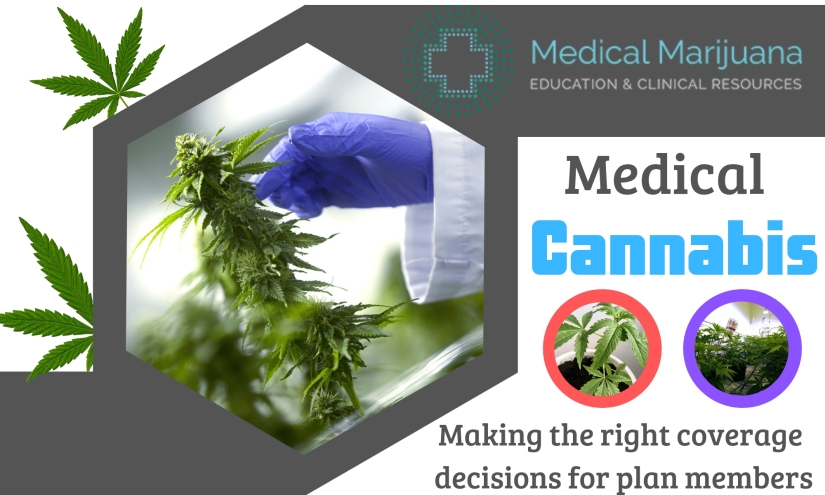 Enjoying The Health Benefits Of Medical Marijuana.jpg