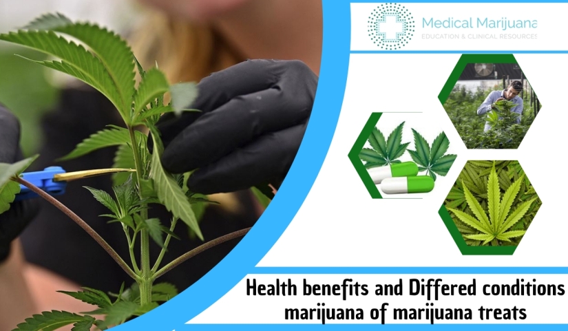 Health Benefits Coverage for Medical Marijuana.jpg